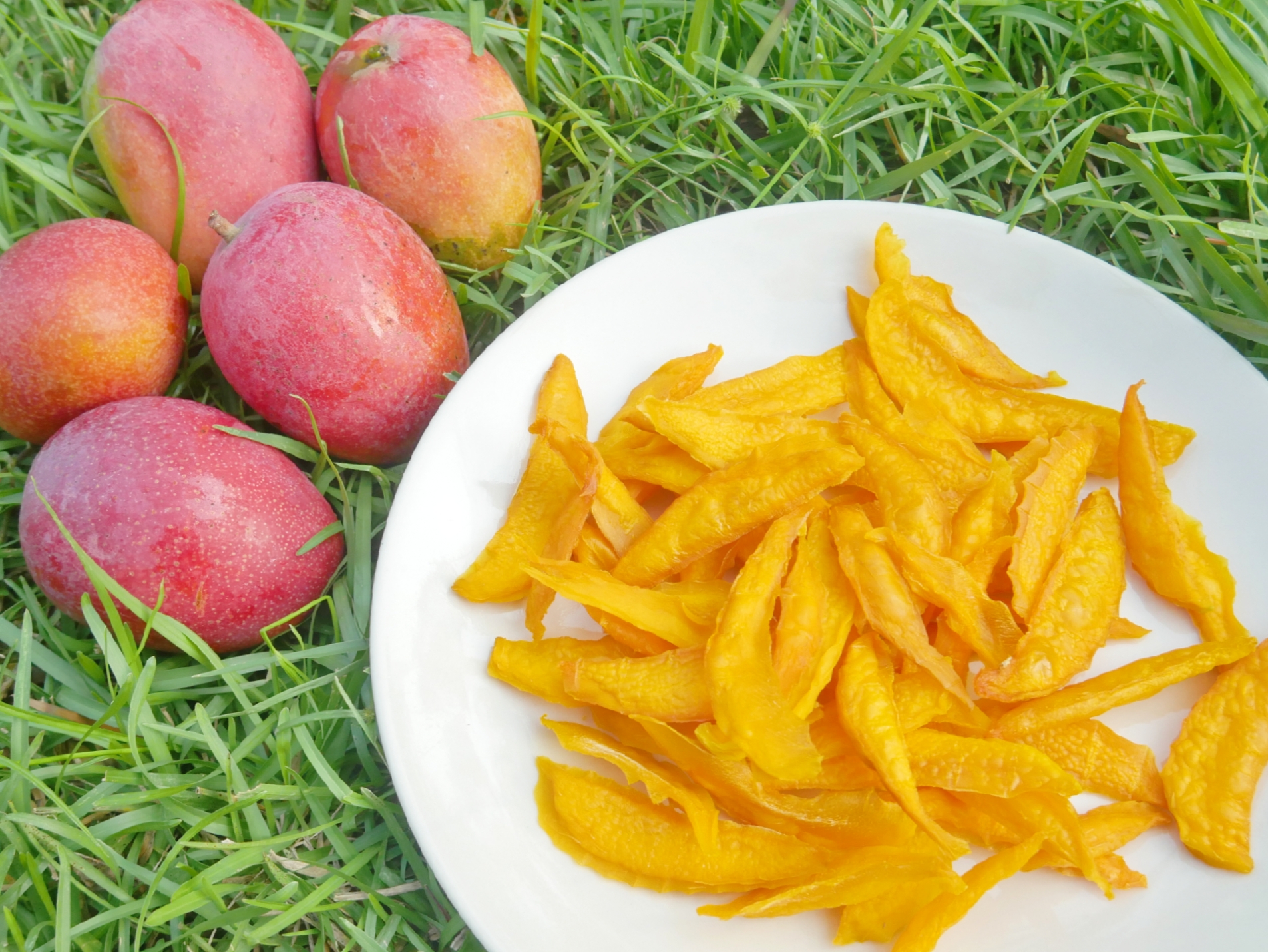 新鮮芒果與芒果乾